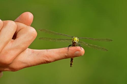 This photo about Sonnmatt Bergpension & Gesundheitszentrum shared on HyHotel.com
