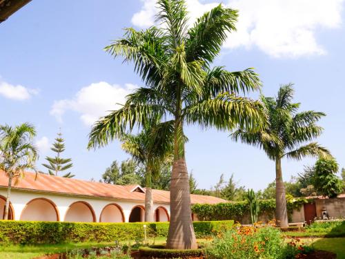 STC.SAFARI LODGE in Oldeani STC.SAFARI LODGE in Oldeani