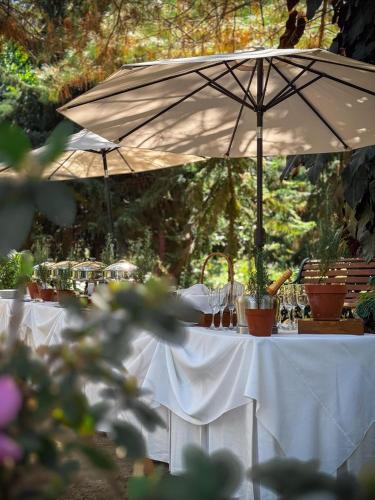 حديقة, Cajamarca Villas by Collection in Victoria حديقة, Cajamarca Villas by Collection in Victoria