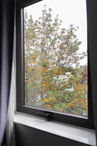 Surrounding environment, N Queen Apartment Hotel in Xuan Huong Lake Surrounding environment, N Queen Apartment Hotel in Xuan Huong Lake