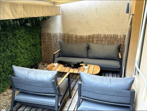 Geneva Terrace Apartment in Gaillard Geneva Terrace Apartment in Gaillard