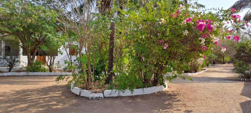 KASA KAISSAKU avec accès direct à plage pour 2 à 12 personnes (KASA KAISSAKU avec acces direct a plage pour 2 a 12 personnes) in Kafountine KASA KAISSAKU avec accès direct à plage pour 2 à 12 personnes (KASA KAISSAKU avec acces direct a plage pour 2 a 12 personnes) in Kafountine