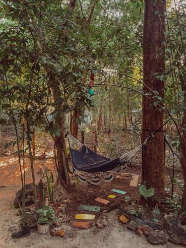 Kert, Woodpecker cabin in El Remate Kert, Woodpecker cabin in El Remate