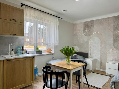 Konyha, Noclegi, pokoje, kwatery "Nad Bzurą" (Noclegi, pokoje, kwatery "Nad Bzura") in Lowicz Konyha, Noclegi, pokoje, kwatery "Nad Bzurą" (Noclegi, pokoje, kwatery "Nad Bzura") in Lowicz