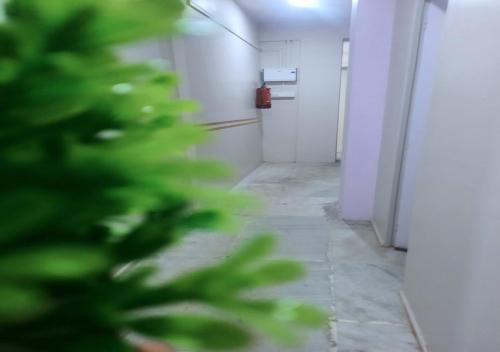 Little While global-Capsule hotel -Near metro in Kolkata Little While global-Capsule hotel -Near metro in Kolkata
