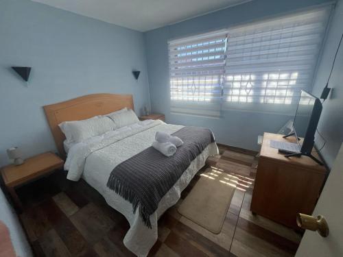 Hotel Nova Vida in Concepción Hotel Nova Vida in Concepción