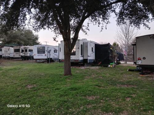 Buena Vista RV Park in Elgin Buena Vista RV Park in Elgin