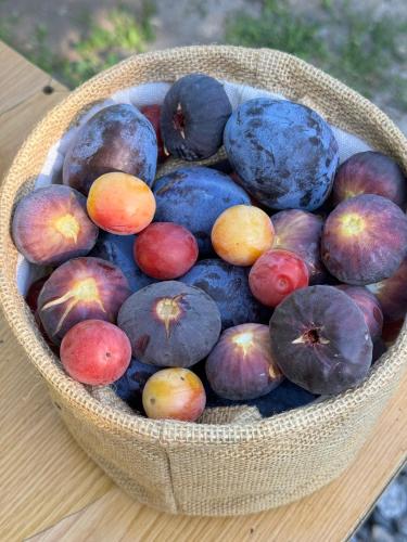 SamMar B&B in Ashtarak SamMar B&B in Ashtarak