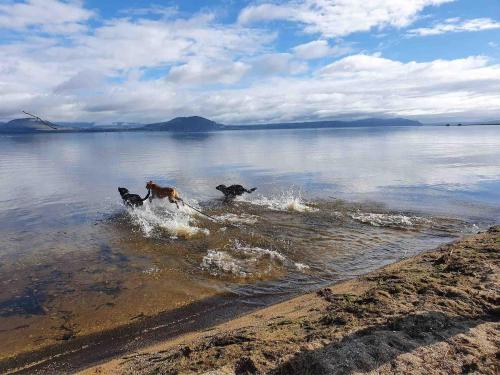 playa, The Grumpy Trout Lodge #Outdoors on our #doorstep! in Turangi playa, The Grumpy Trout Lodge #Outdoors on our #doorstep! in Turangi