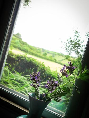 The Beech Hut - Peaceful countryside retreat in Down Barat The Beech Hut - Peaceful countryside retreat in Down Barat
