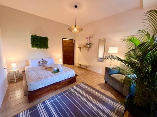 Zen Zaru Free MA park tour & breakfast in Quepos Zen Zaru Free MA park tour & breakfast in Quepos