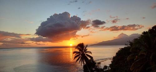 Pemandangan, Maui Homestay Vue Océan Exceptionnelle & Baleines en Saison (Maui Homestay Vue Ocean Exceptionnelle & Baleines en Saison) in Vaira'o Pemandangan, Maui Homestay Vue Océan Exceptionnelle & Baleines en Saison (Maui Homestay Vue Ocean Exceptionnelle & Baleines en Saison) in Vaira'o