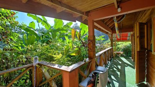 Berkey's Jungle Paradise in Saint George Berkey's Jungle Paradise in Saint George