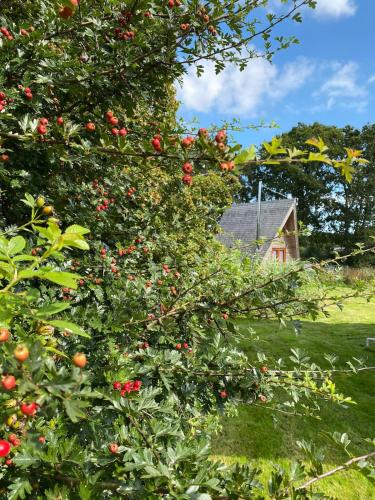 Aframe Tiny Home SILVA with private hot tub in Cowes South and Northwood Aframe Tiny Home SILVA with private hot tub in Cowes South and Northwood