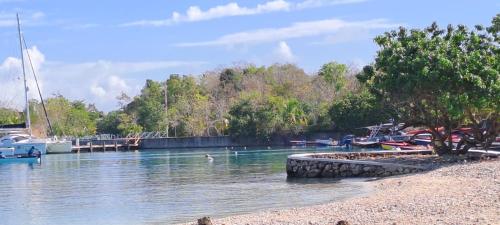 Közeli látványosságok, By The Bay Oracabessa Extra Guest Suite Option in Oracabessa Közeli látványosságok, By The Bay Oracabessa Extra Guest Suite Option in Oracabessa