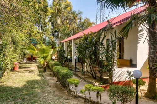 The Wild Orchid Resort Corbett in Korbett The Wild Orchid Resort Corbett in Korbett