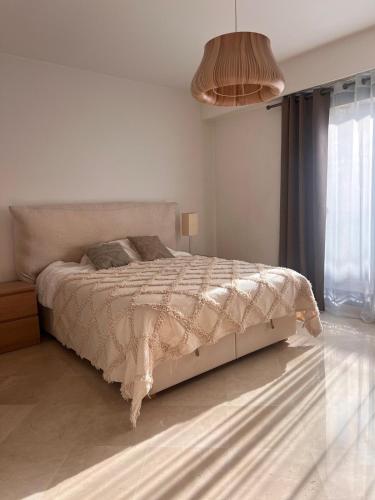 Spacious apartment with the balcony in heart of Monaco in カルティエ ドゥ ポー Spacious apartment with the balcony in heart of Monaco in カルティエ ドゥ ポー