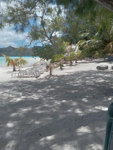 Pension Ataha RAIVAVAE in Đảo Austral Pension Ataha RAIVAVAE in Đảo Austral