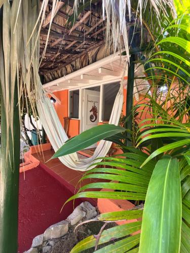 Arena Oceanview Hotel & La Terraza Restaurant in Las Galeras Arena Oceanview Hotel & La Terraza Restaurant in Las Galeras