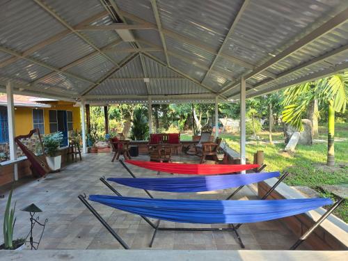 amanecer entre trinos y alas in San Jose Del Guaviare amanecer entre trinos y alas in San Jose Del Guaviare