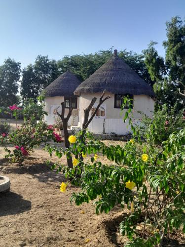 Coeur Phil-Harmonie in נדנגנה Coeur Phil-Harmonie in נדנגנה