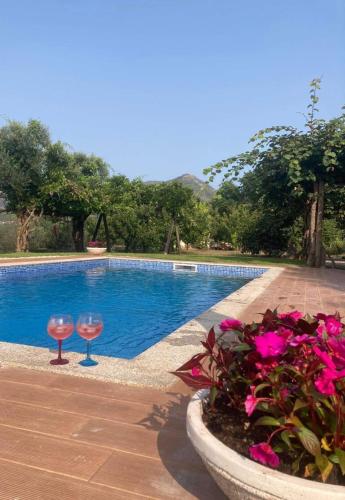 สวน, Casa da Cesta in กาเนโด เด บาสโต สวน, Casa da Cesta in กาเนโด เด บาสโต