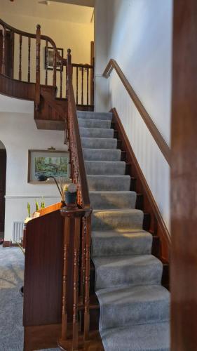 Wytchwood B&B in Clonakilty Wytchwood B&B in Clonakilty
