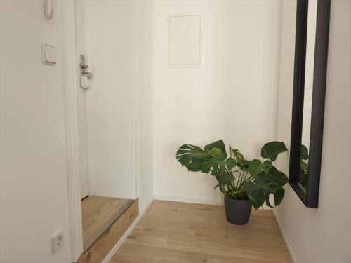ردهة, Hogulu - Haus 1, Appartement 9 in Brandenburg an der Havel ردهة, Hogulu - Haus 1, Appartement 9 in Brandenburg an der Havel