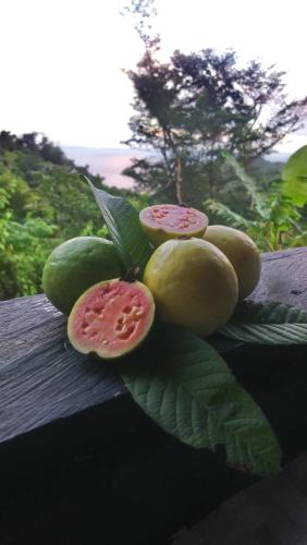 PT Jardin Farm in Castle Bruce PT Jardin Farm in Castle Bruce