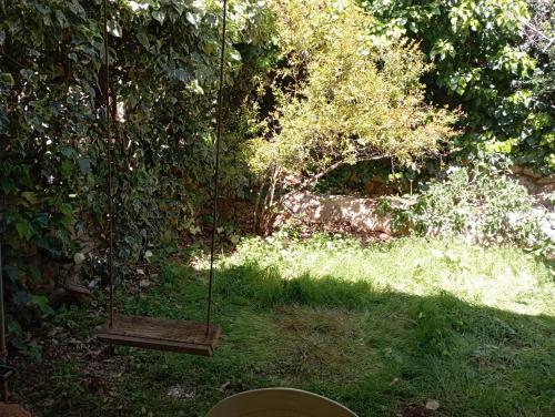 Kert, A Bed in a dormitory shared with other 5 where Nature & spirit Meet in Safed Kert, A Bed in a dormitory shared with other 5 where Nature & spirit Meet in Safed