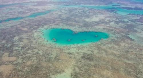 Caravelas casa de Abrolhos in คาราเวลัส Caravelas casa de Abrolhos in คาราเวลัส