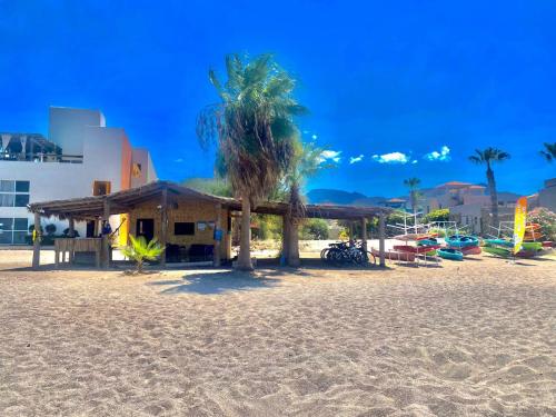 กิจกรรม, Hotel Loreto Palmar in โลเรโต้ กิจกรรม, Hotel Loreto Palmar in โลเรโต้