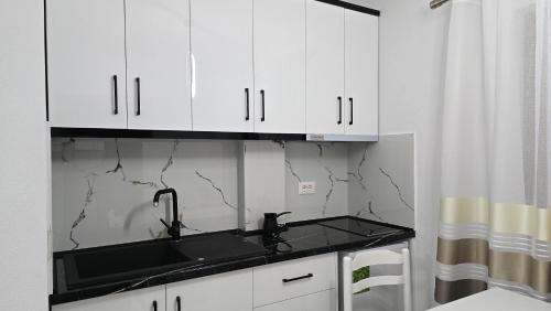 廚房, Guest House Pogradeci in 波格拉德茨 廚房, Guest House Pogradeci in 波格拉德茨