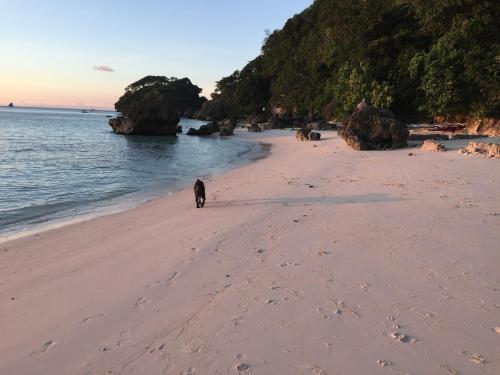 Kalamansi Villas - Large 3 Bedroom Apartment in Diniwid Kalamansi Villas - Large 3 Bedroom Apartment in Diniwid