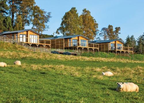 المنظر الخارجي, Kessock Highland Lodges in Bogallan المنظر الخارجي, Kessock Highland Lodges in Bogallan