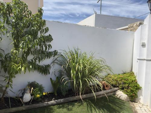 A szálláshely kívülről, Casa Do Canto in Areia A szálláshely kívülről, Casa Do Canto in Areia