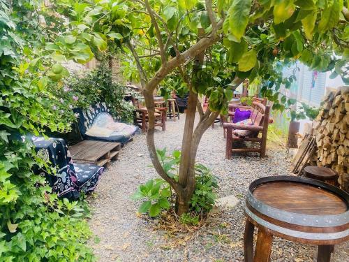 Traveland Hostal y Residencial in Pichilemu Traveland Hostal y Residencial in Pichilemu