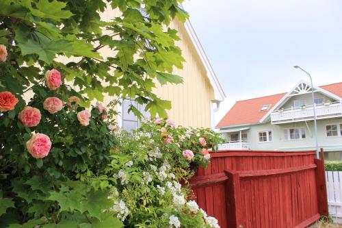 Badhusgatan 8 in Боргхольм Badhusgatan 8 in Боргхольм