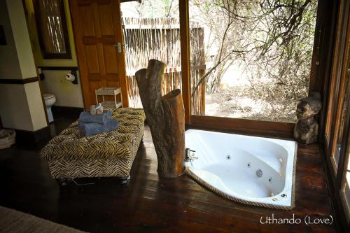Kolam air panas, Ihlozi Bush Lodge in Hluhluwe Kolam air panas, Ihlozi Bush Lodge in Hluhluwe