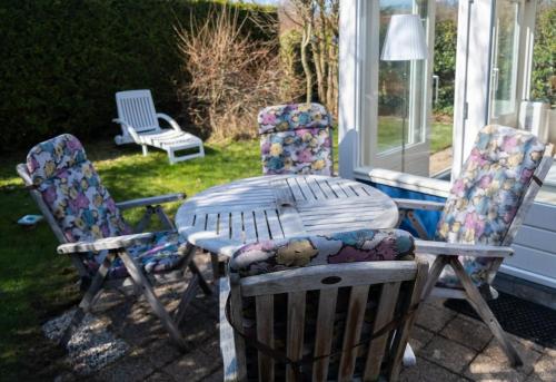 Zeemeeuw in Wimmenum Zeemeeuw in Wimmenum