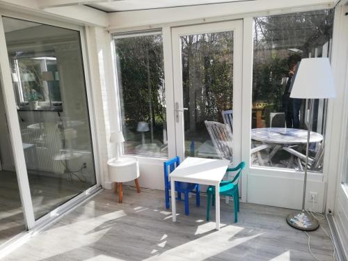 Zeemeeuw in Wimmenum Zeemeeuw in Wimmenum