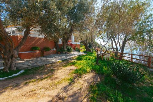 حديقة, Aegean Heaven in Kampos Skoureikon حديقة, Aegean Heaven in Kampos Skoureikon