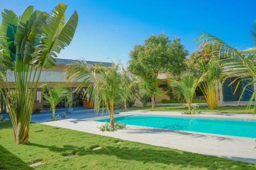 Sodas, Oasis de sérénité (Oasis de serenite) in Sintijanas Sodas, Oasis de sérénité (Oasis de serenite) in Sintijanas