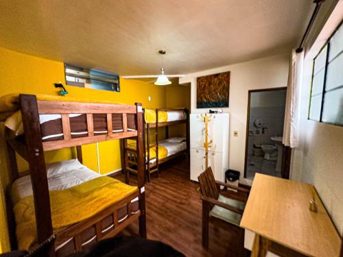 Lobo Hostel La Paz in La Paz Lobo Hostel La Paz in La Paz