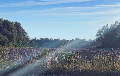 Exterior view, 5 Bedroom Nice Home In Borgholm in Ovra Sandby Exterior view, 5 Bedroom Nice Home In Borgholm in Ovra Sandby