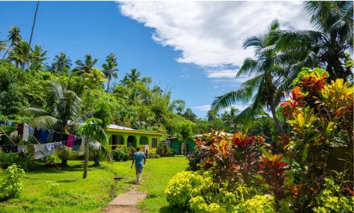 VureVure Homestay in Taveuni VureVure Homestay in Taveuni