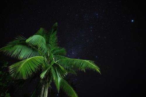 VureVure Homestay in Taveuni VureVure Homestay in Taveuni