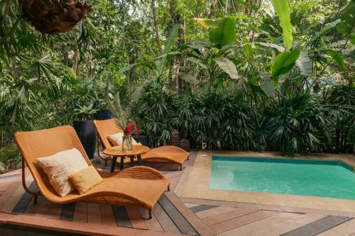 View, awa Beachfront Hotel in Puerto Viejo de Talamanca View, awa Beachfront Hotel in Puerto Viejo de Talamanca