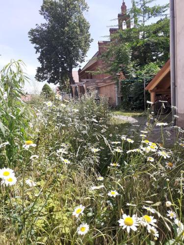 Uitzicht, Ferienwohnung Martinsblick in Angermunde Uitzicht, Ferienwohnung Martinsblick in Angermunde