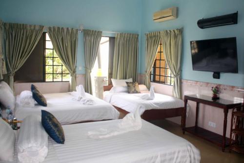 The Magic Sponge in Kampot The Magic Sponge in Kampot